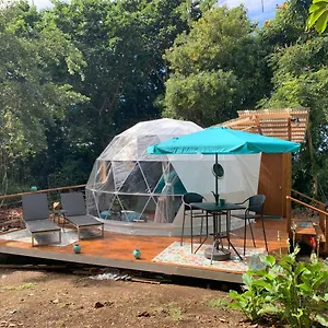 https://manta-soul-jungle-geodome.hotelsinhawaii.org